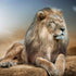 Lion 5D Diamond Painting Kit